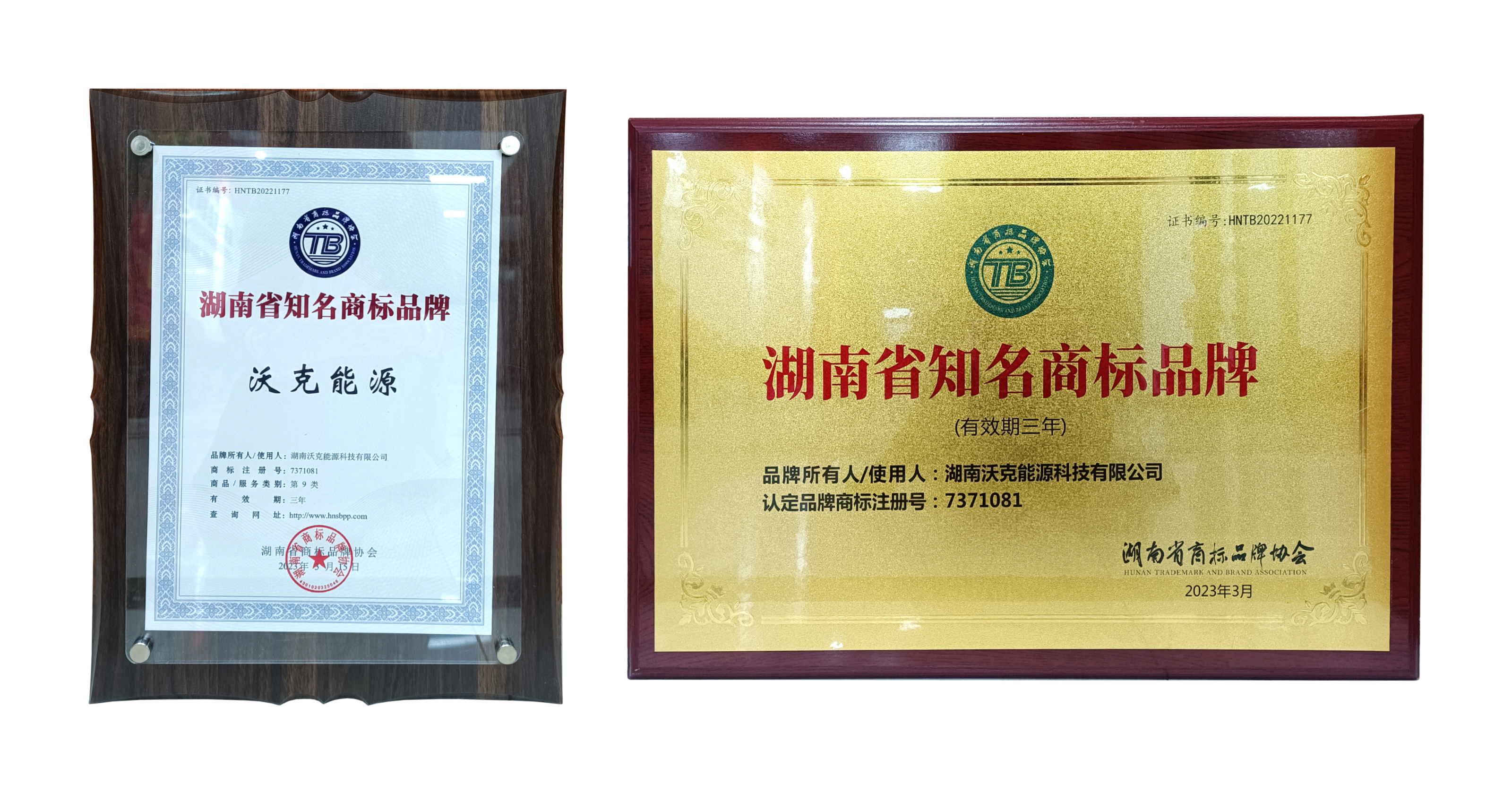 MG不朽情缘能源，不忘初心